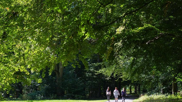 AMEOS Gruppe verstärkt Engagement für Klimaschutz