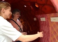 BAA-Screening kann Leben retten – Bauchaorten-Screening-Tag