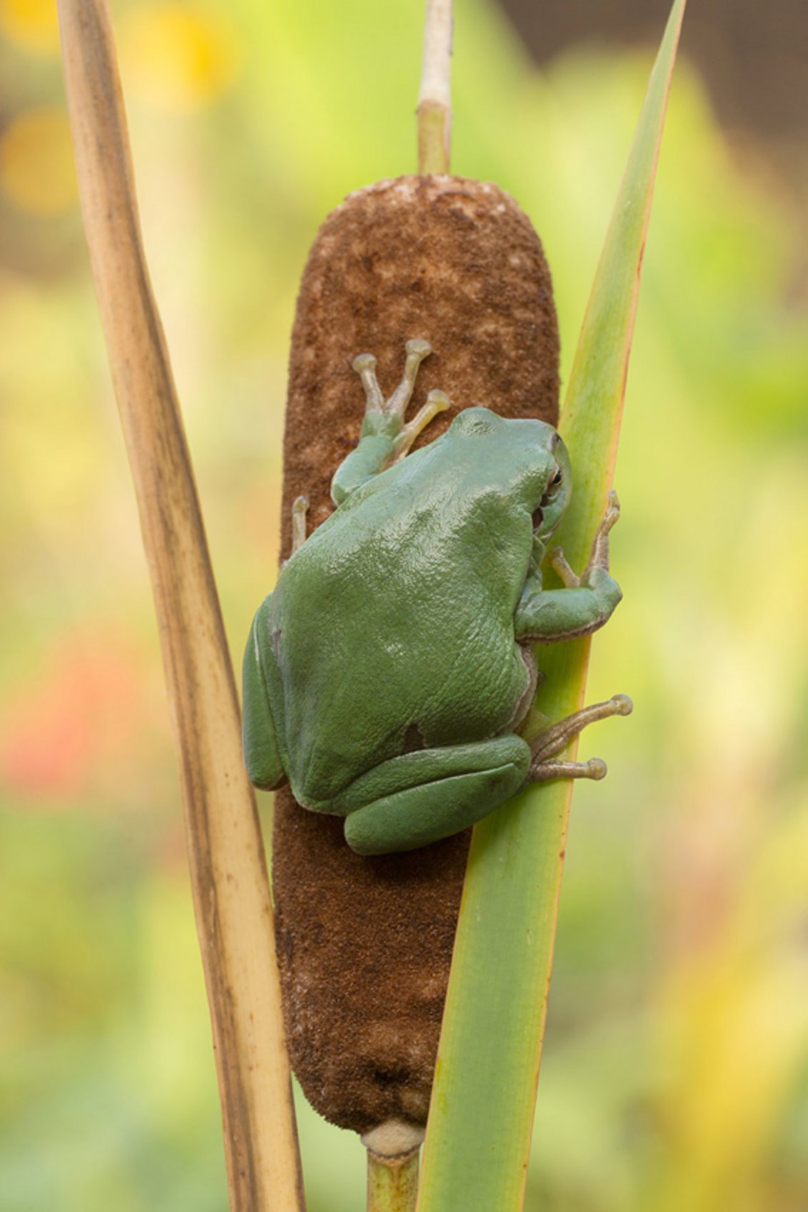 Foto-Ausstellung „Unterwegs in der Natur“