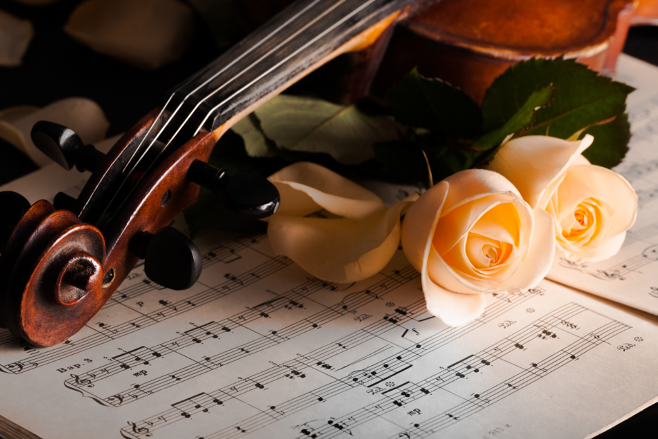 Violine, Noten und Rosen (Quelle: Canva)