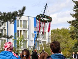 Aufstellen des Maibaums im AMEOS Senioren Wohnsitz Ratzeburg. 