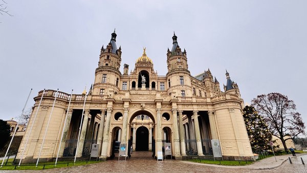 Pflege-Nachwuchs im Schweriner Schloss