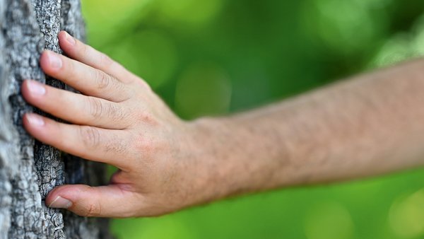 Gefühle sind unser inneres Navigationssystem