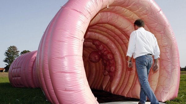 Den Darm live erleben – einmal quer durch