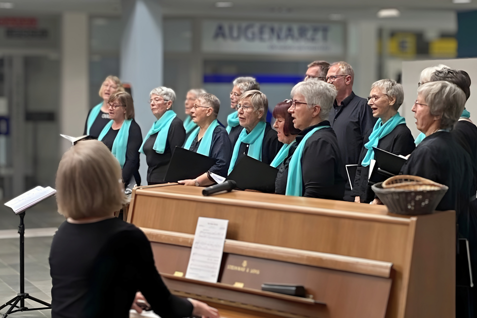 Der A-Cappella-Chor Ratzeburg bei einem Konzert im AMEOS Senioren Wohnsitz (© AMEOS)