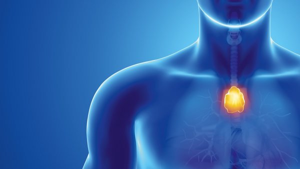 Gewichtszunahme wegen Unterfunktion der Schilddrüse?