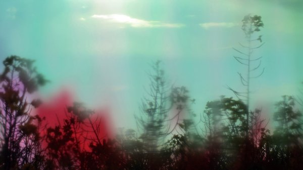 Kunst fühlen   in Bremen