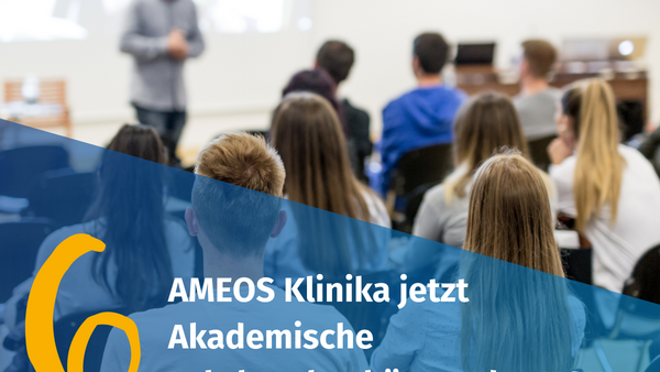 Neue Perspektiven: AMEOS und MSH kooperieren